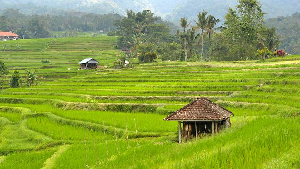 Desa Mandalahayu
